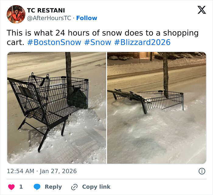 94 Photos Of A Snowstorm Hitting The U.S. That Might Make You Want To Hibernate