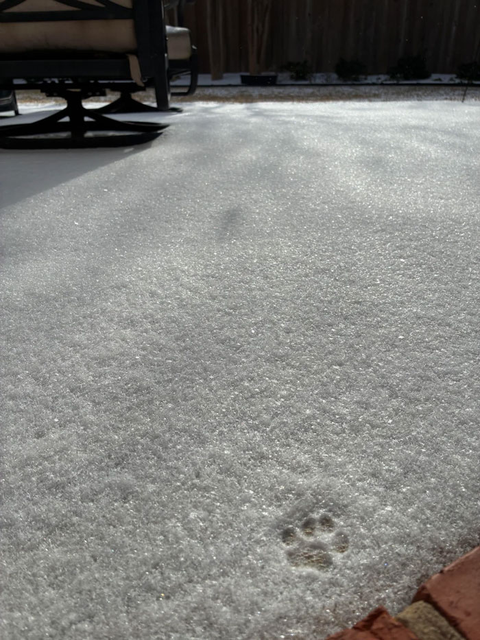 94 Photos Of A Snowstorm Hitting The U.S. That Might Make You Want To Hibernate