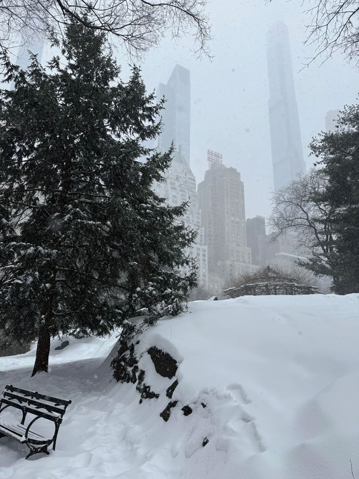 94 Photos Of A Snowstorm Hitting The U.S. That Might Make You Want To Hibernate