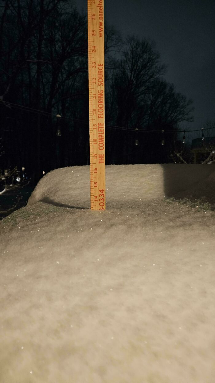 94 Photos Of A Snowstorm Hitting The U.S. That Might Make You Want To Hibernate