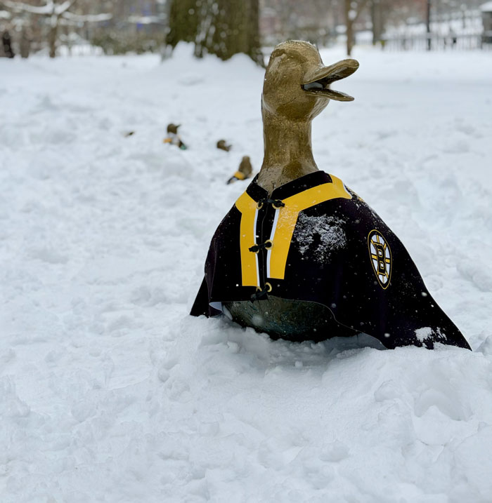 94 Photos Of A Snowstorm Hitting The U.S. That Might Make You Want To Hibernate