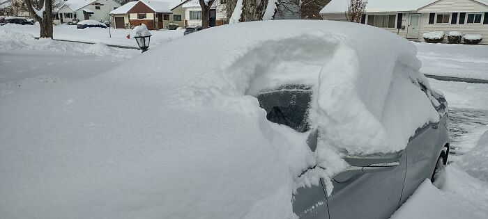 94 Photos Of A Snowstorm Hitting The U.S. That Might Make You Want To Hibernate