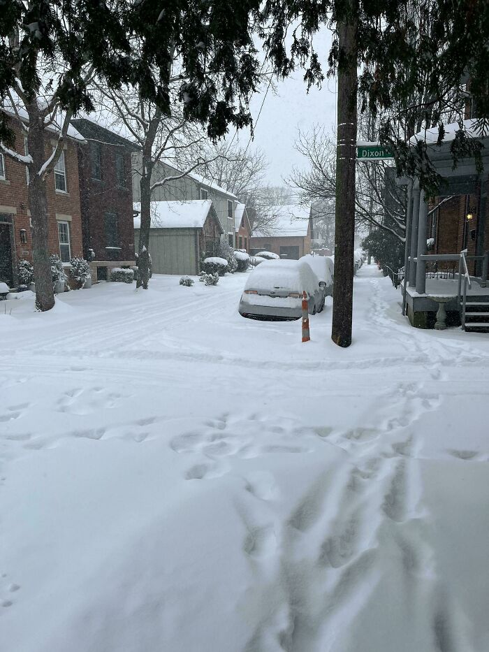 94 Photos Of A Snowstorm Hitting The U.S. That Might Make You Want To Hibernate