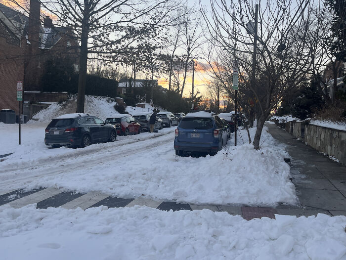 94 Photos Of A Snowstorm Hitting The U.S. That Might Make You Want To Hibernate