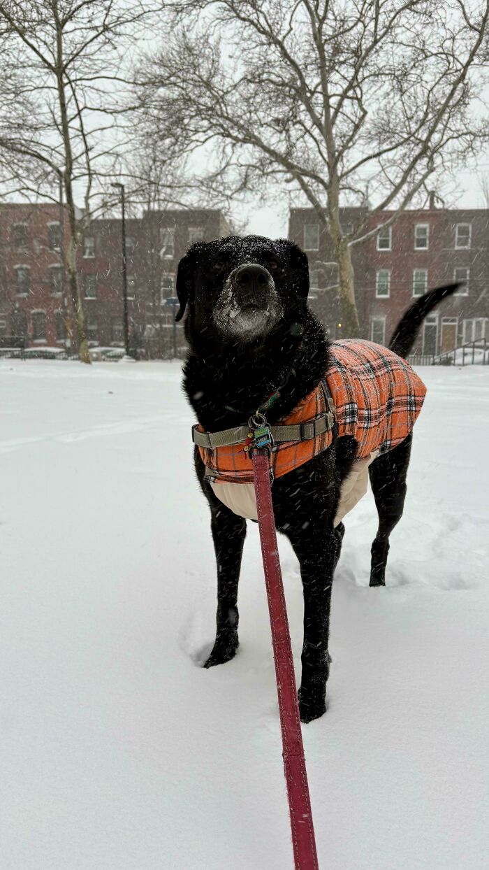 94 Photos Of A Snowstorm Hitting The U.S. That Might Make You Want To Hibernate