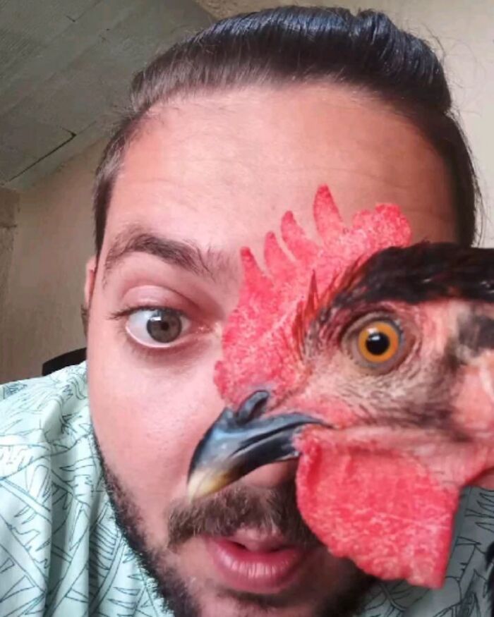 This Wild Vulture Bonded With A Human So Closely, Viewers Joke He&rsquo;s &ldquo;A Dog With Wings&rdquo; (23 Pics)