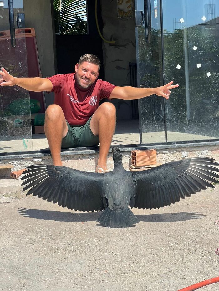 This Wild Vulture Bonded With A Human So Closely, Viewers Joke He&rsquo;s &ldquo;A Dog With Wings&rdquo; (23 Pics)