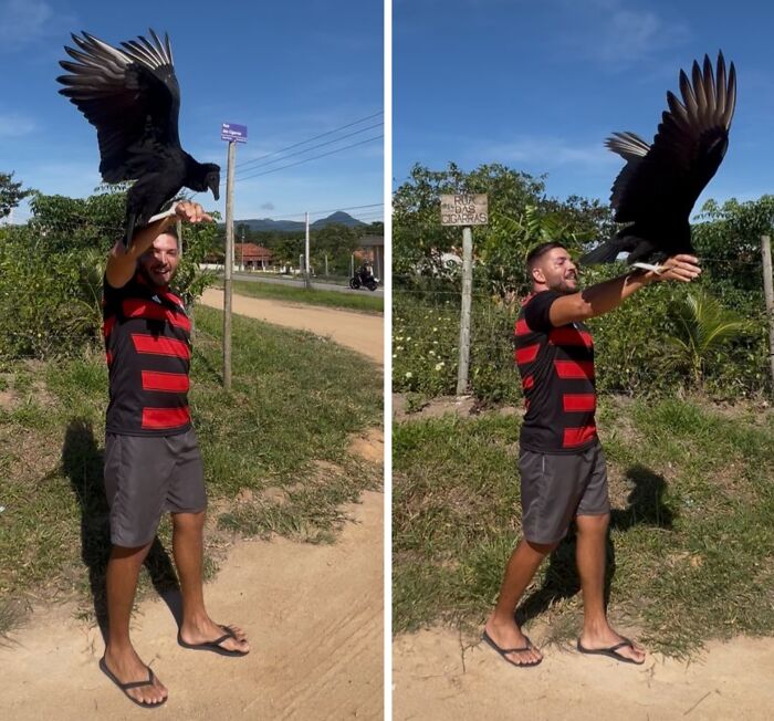 This Wild Vulture Bonded With A Human So Closely, Viewers Joke He&rsquo;s &ldquo;A Dog With Wings&rdquo; (23 Pics)