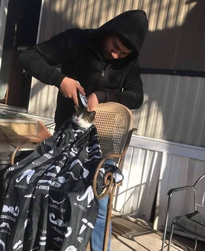 These &ldquo;Important Animal Images&rdquo; Capture The Sweetest Human-Animal Bonds (47 New Pics)