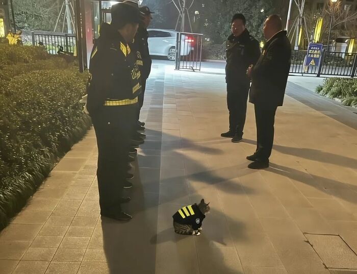 These &ldquo;Important Animal Images&rdquo; Capture The Sweetest Human-Animal Bonds (47 New Pics)