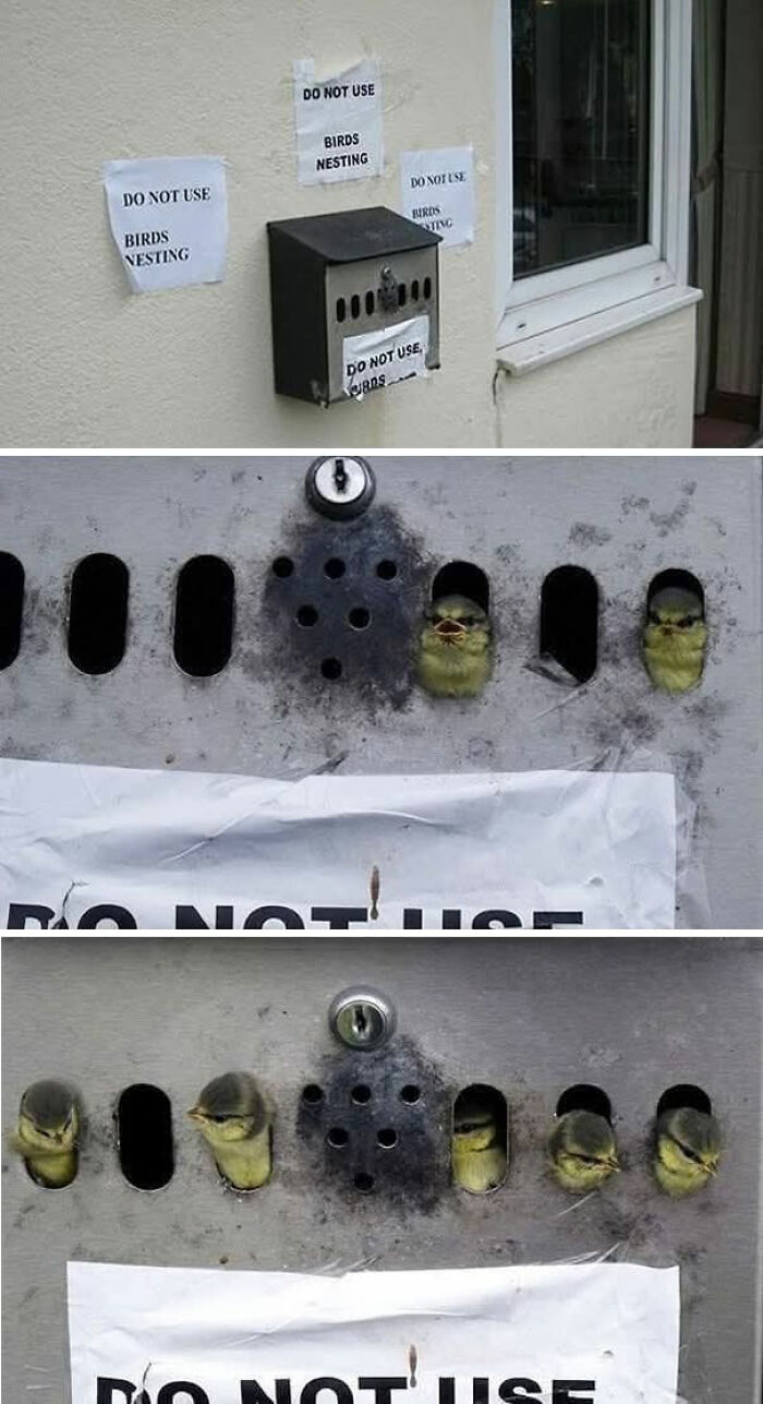 These &ldquo;Important Animal Images&rdquo; Capture The Sweetest Human-Animal Bonds (47 New Pics)