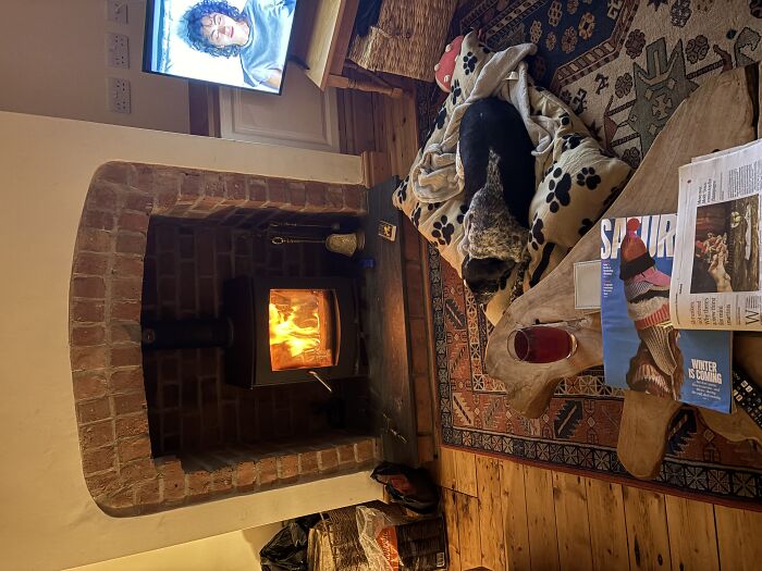 Hey Pandas, Share Photos Of Cosy Winter Evenings With Your Pets