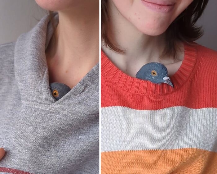 This Woman Rescued A Half-Blind Pigeon And Now Takes Him On Daily Walks (22 Pics)