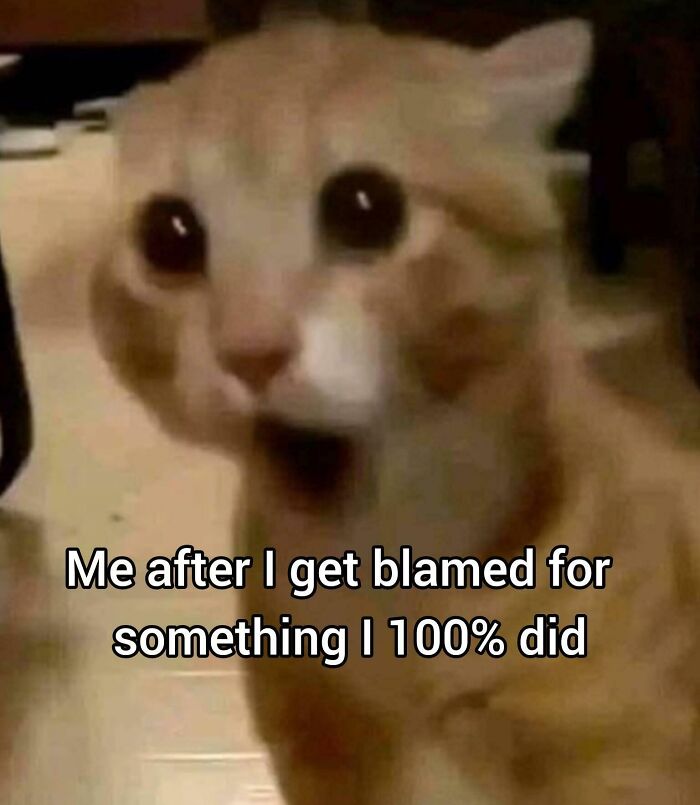 55 Hilarious Memes That Are So Relatable, It Will Feel Like They Were Made Just For You