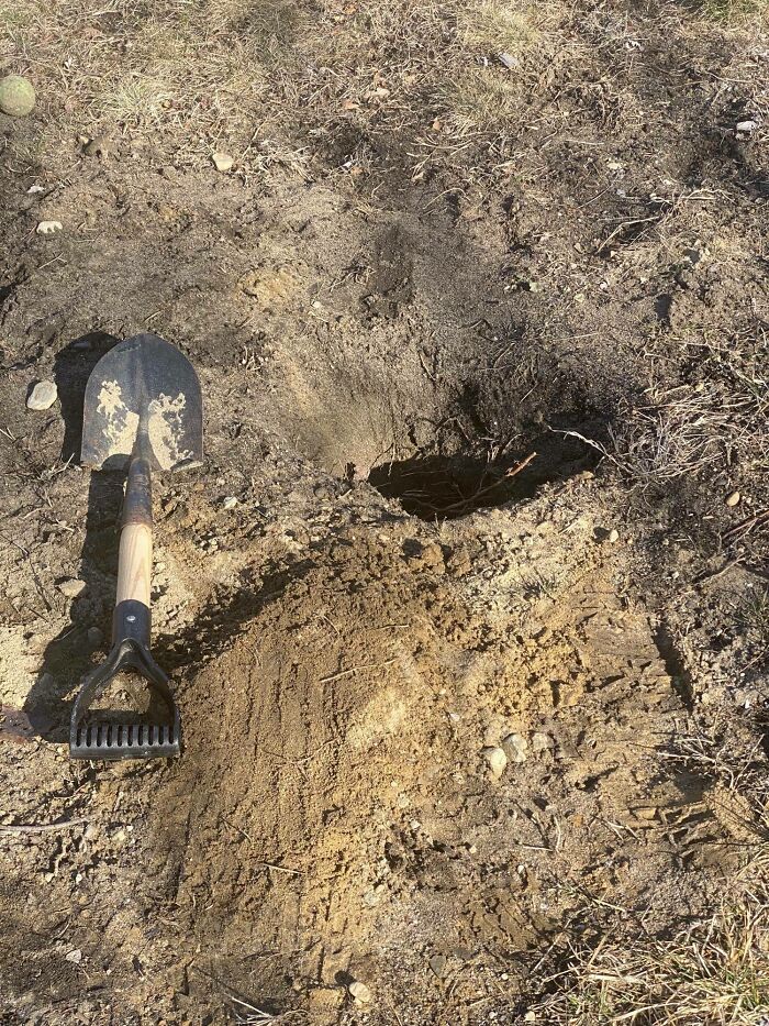 65 Kid Fails And Innocent Comments That Had Everyone Laughing (New Pics) 65 Kid Fails And Innocent Comments That Had Everyone Laughing (New Pics)