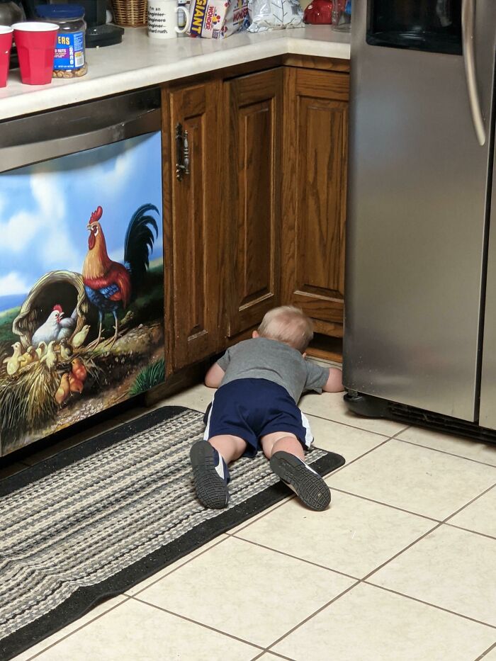 65 Kid Fails And Innocent Comments That Had Everyone Laughing (New Pics) 65 Kid Fails And Innocent Comments That Had Everyone Laughing (New Pics)