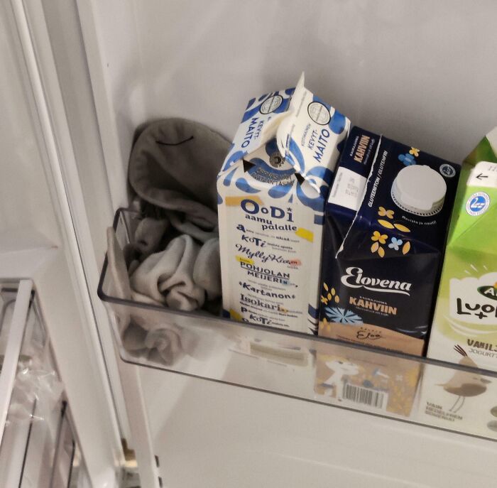 65 Kid Fails And Innocent Comments That Had Everyone Laughing (New Pics) 65 Kid Fails And Innocent Comments That Had Everyone Laughing (New Pics)