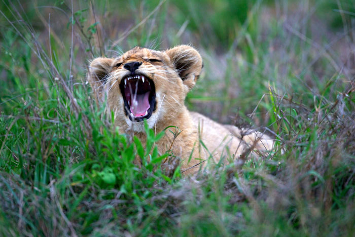 62 Childhood Experiences People Were Raised To Think Were Common