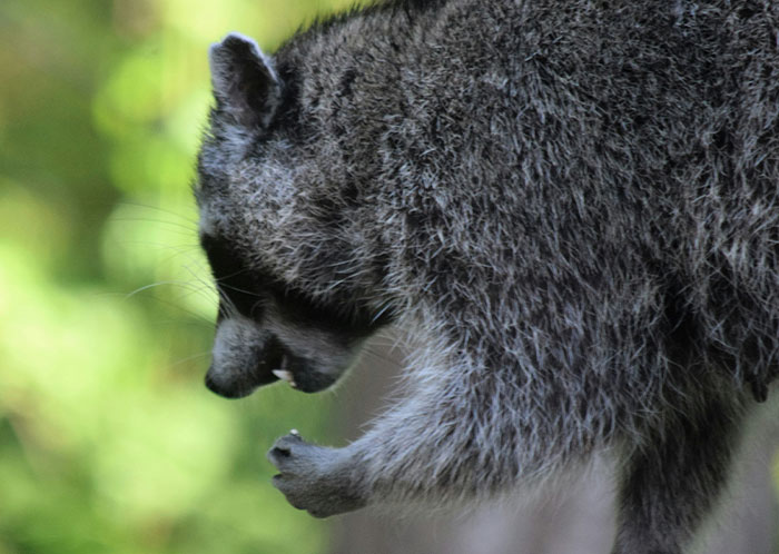 46 Homeless People Share The Most Horrifying Experiences They Had To Go Through