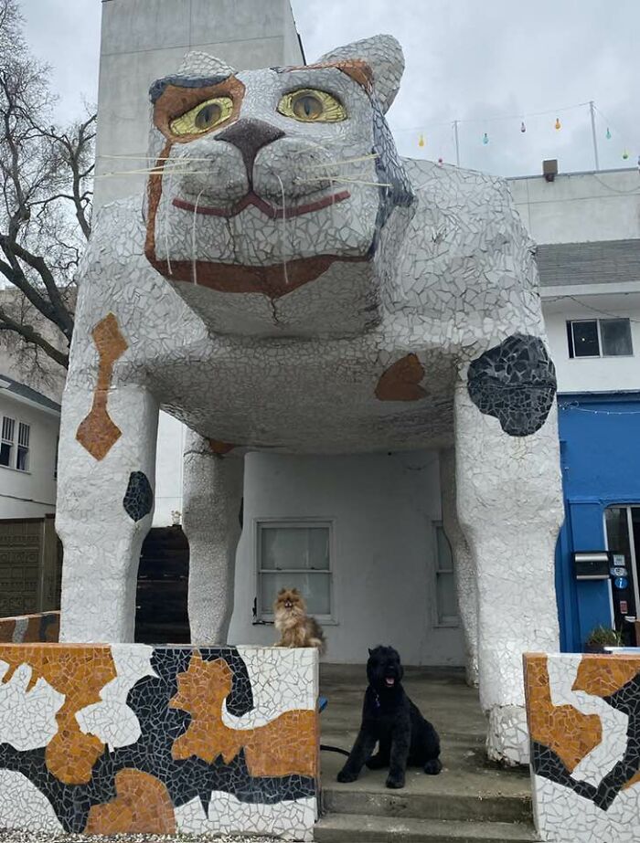 88 Funny, Quirky, And Wonderful Gems Of &ldquo;Roadside USA&rdquo; You Won&rsquo;t Find In Travel Guides