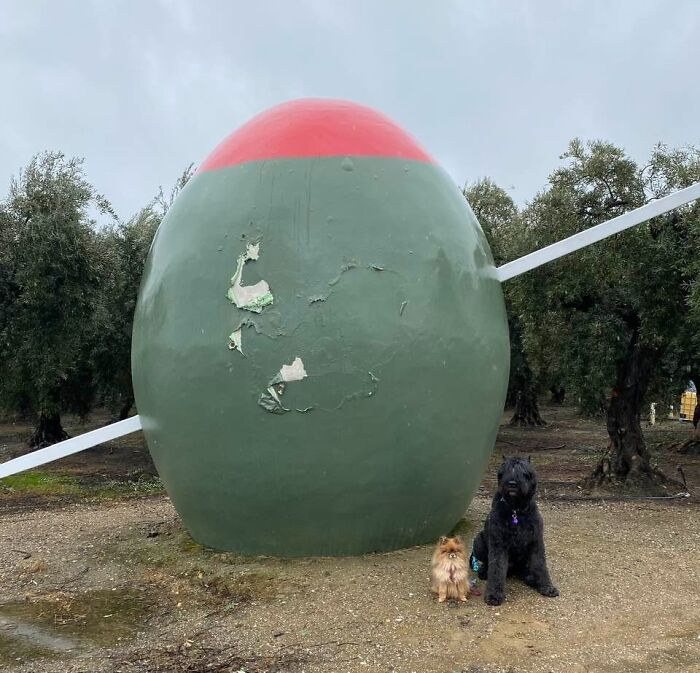 88 Funny, Quirky, And Wonderful Gems Of &ldquo;Roadside USA&rdquo; You Won&rsquo;t Find In Travel Guides