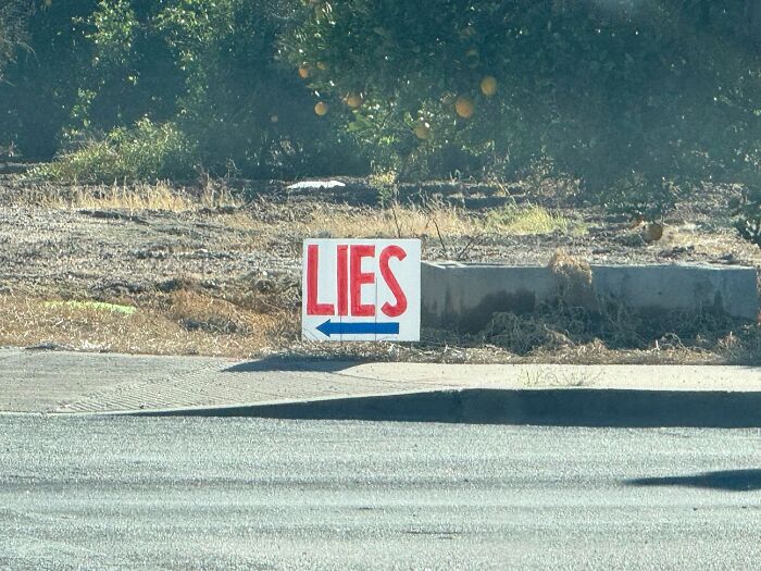 88 Funny, Quirky, And Wonderful Gems Of &ldquo;Roadside USA&rdquo; You Won&rsquo;t Find In Travel Guides