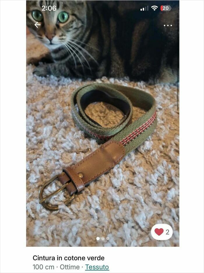 100 Times Cats Stole The Spotlight In Vinted Ads