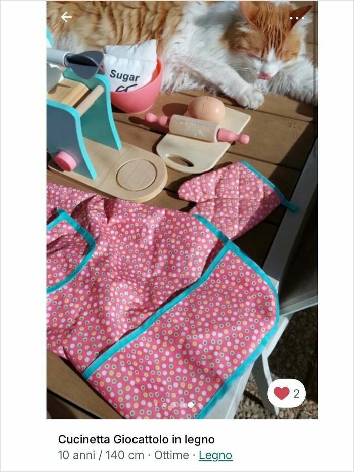 100 Times Cats Stole The Spotlight In Vinted Ads