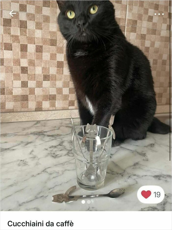 100 Times Cats Stole The Spotlight In Vinted Ads