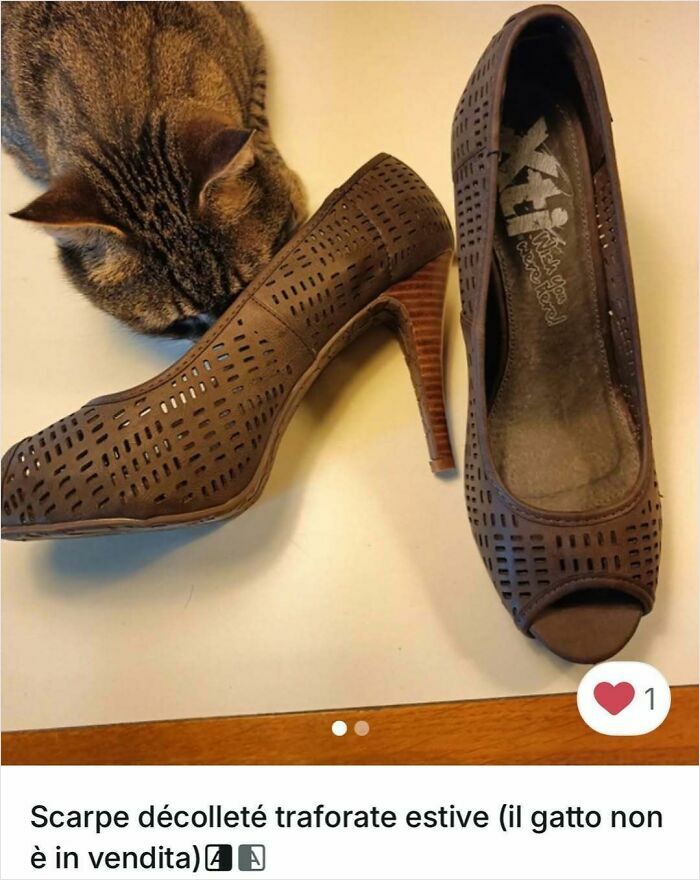 100 Times Cats Stole The Spotlight In Vinted Ads