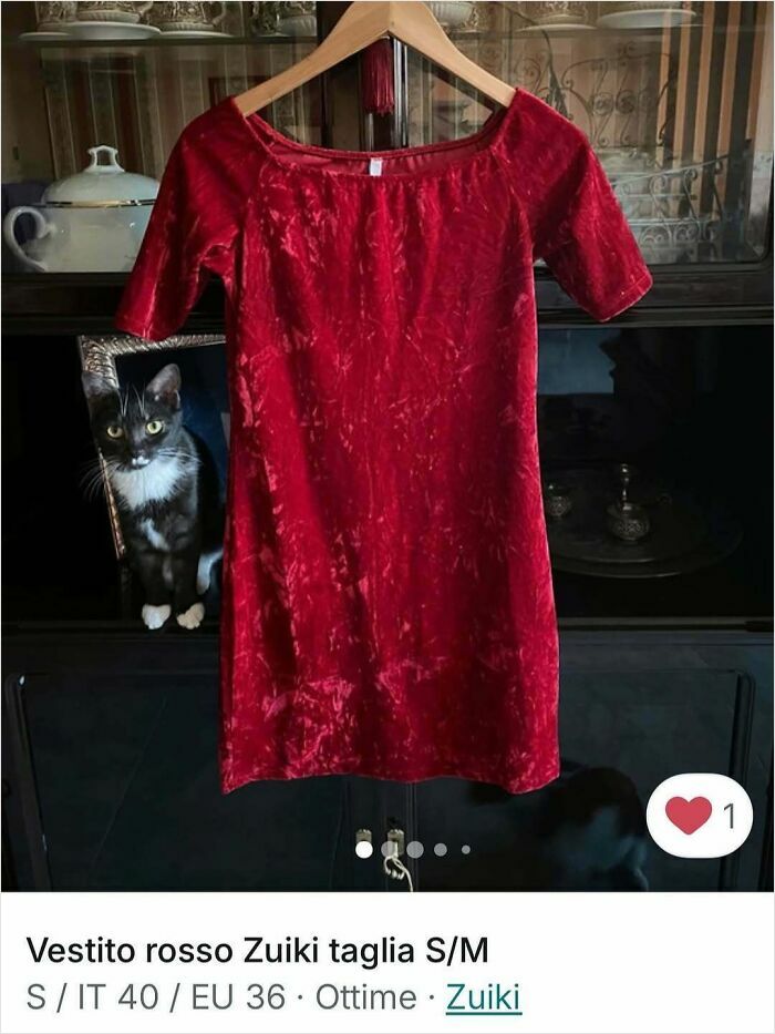 100 Times Cats Stole The Spotlight In Vinted Ads