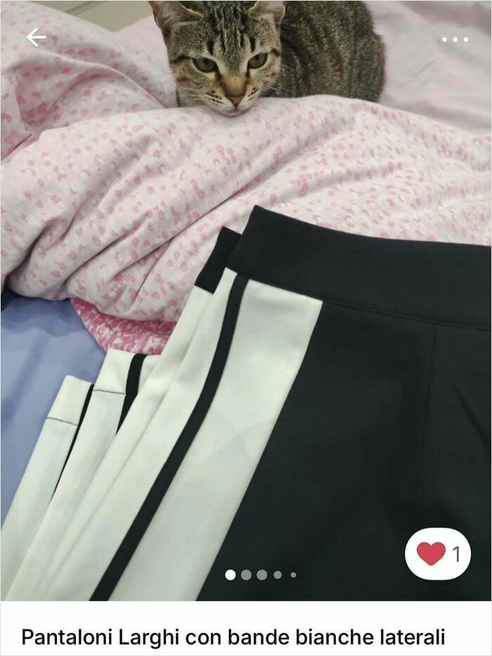 100 Times Cats Stole The Spotlight In Vinted Ads