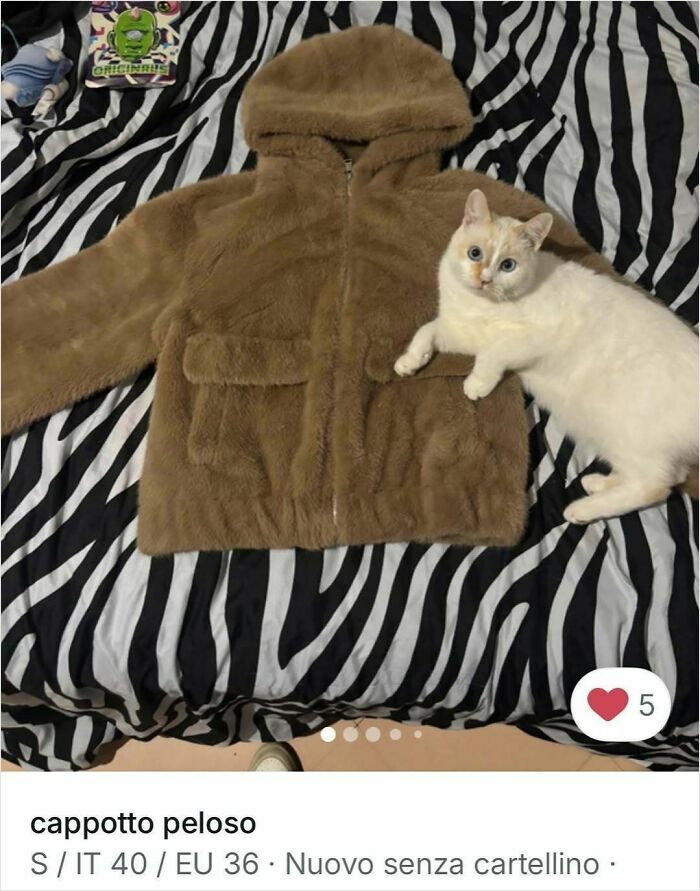 100 Times Cats Stole The Spotlight In Vinted Ads
