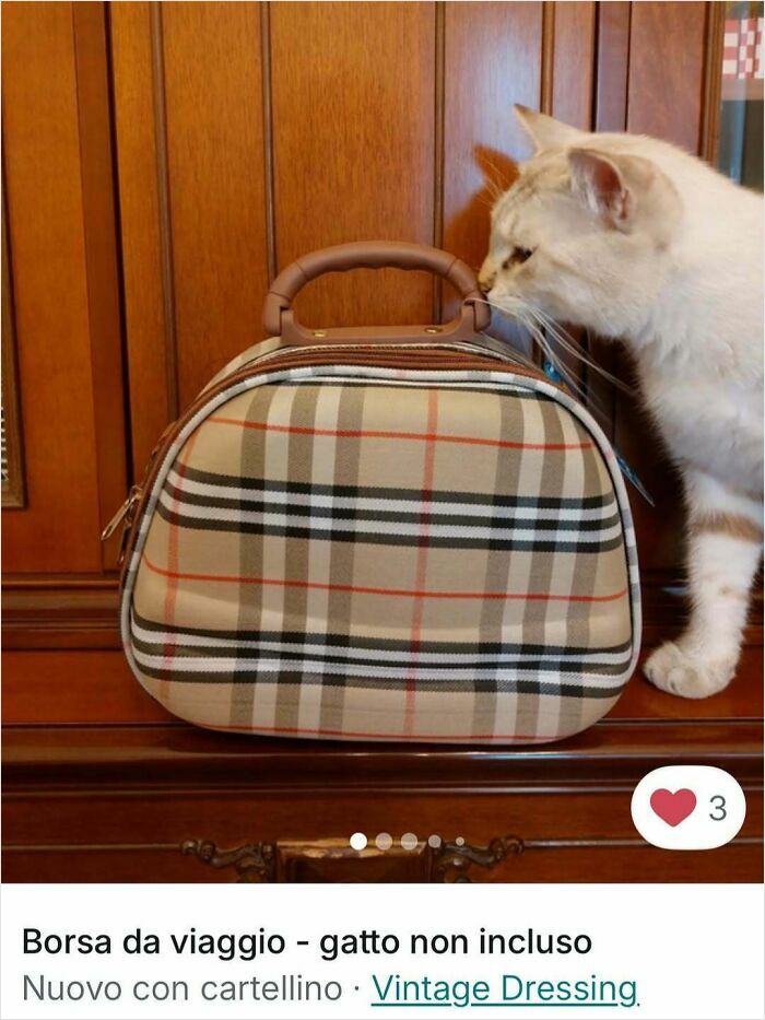 100 Times Cats Stole The Spotlight In Vinted Ads