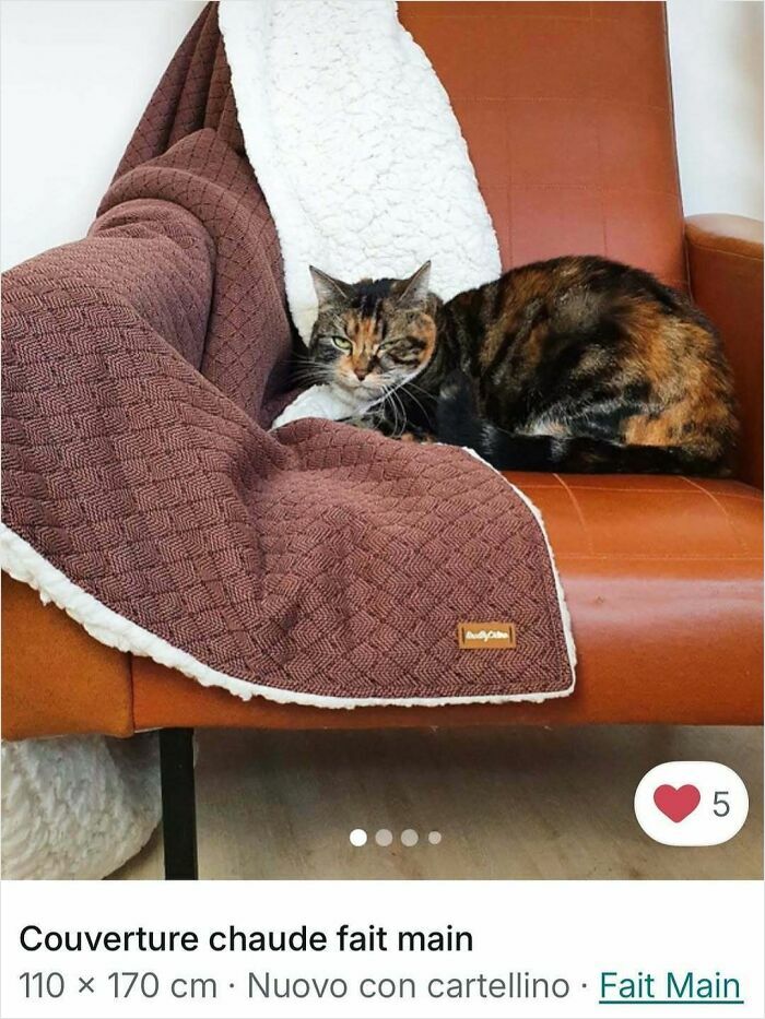 100 Times Cats Stole The Spotlight In Vinted Ads