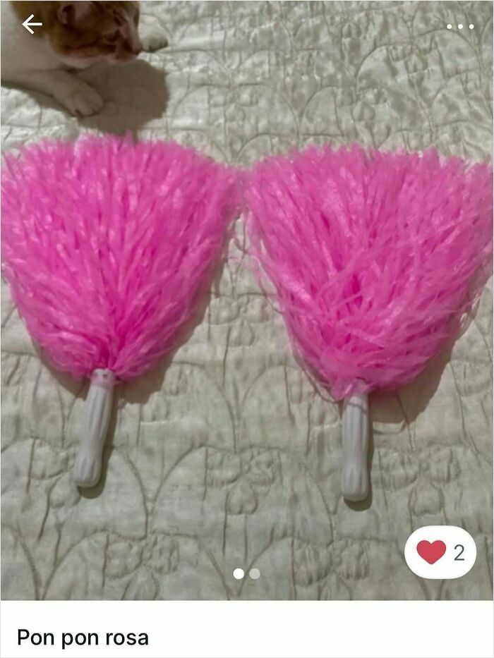 100 Times Cats Stole The Spotlight In Vinted Ads