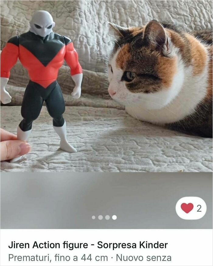 100 Times Cats Stole The Spotlight In Vinted Ads