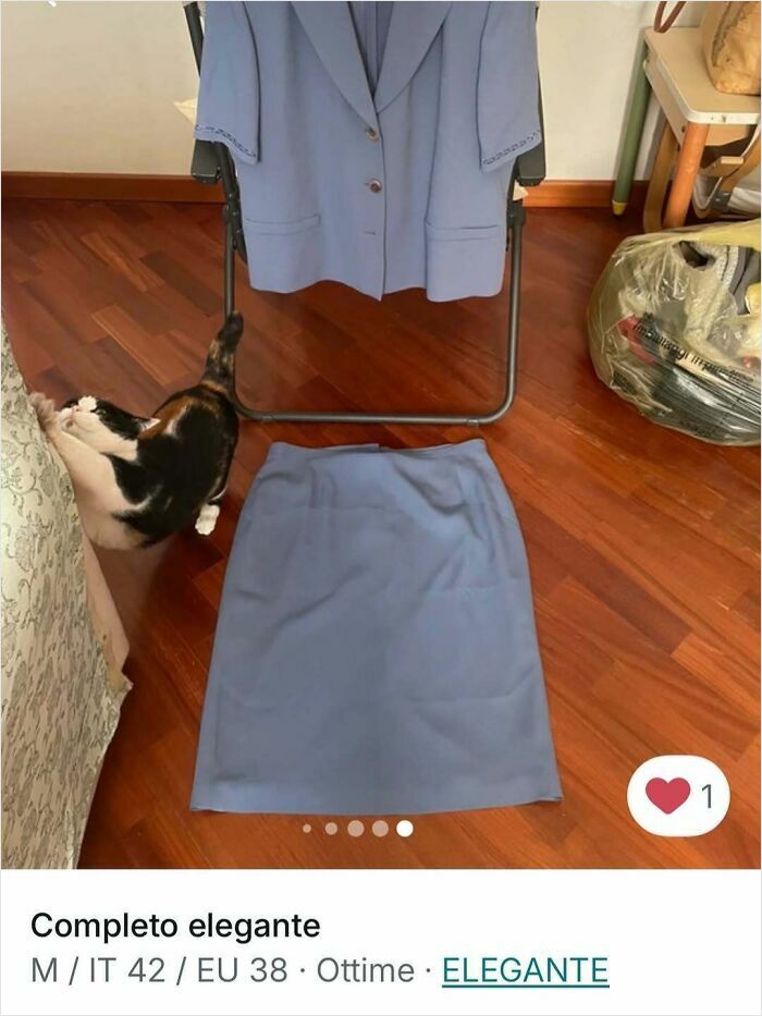 100 Times Cats Stole The Spotlight In Vinted Ads