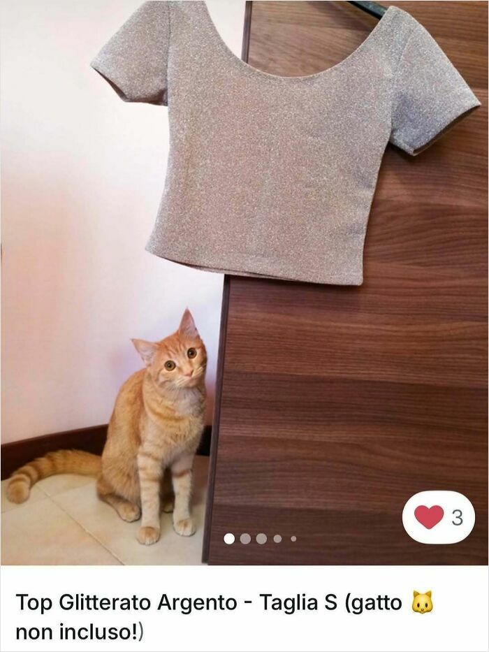 100 Times Cats Stole The Spotlight In Vinted Ads