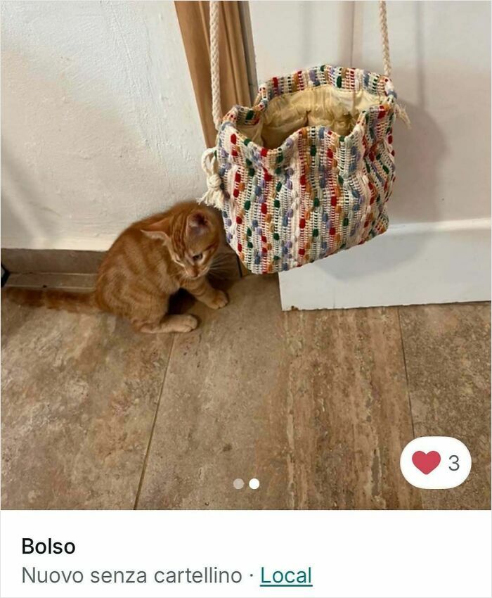 100 Times Cats Stole The Spotlight In Vinted Ads