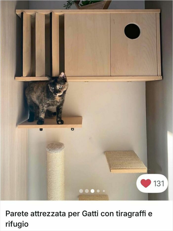 100 Times Cats Stole The Spotlight In Vinted Ads