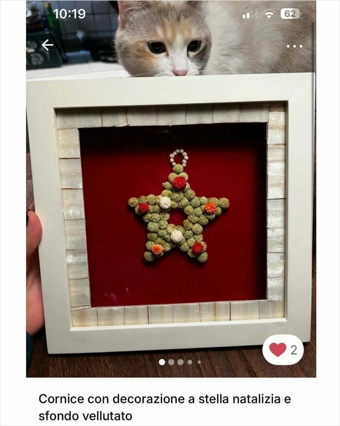 100 Times Cats Stole The Spotlight In Vinted Ads