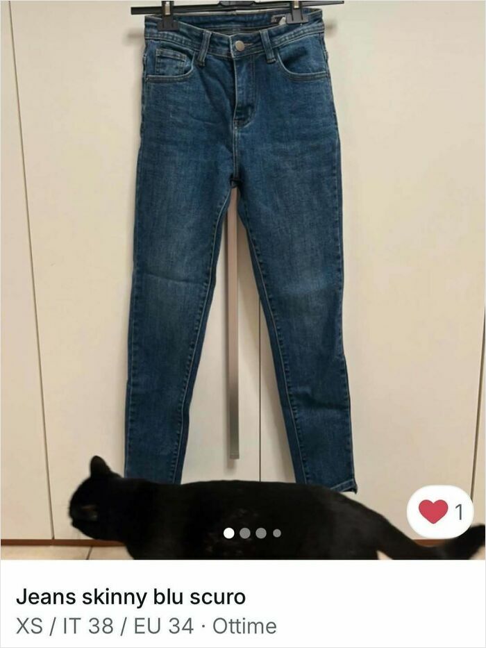 100 Times Cats Stole The Spotlight In Vinted Ads