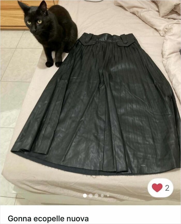100 Times Cats Stole The Spotlight In Vinted Ads