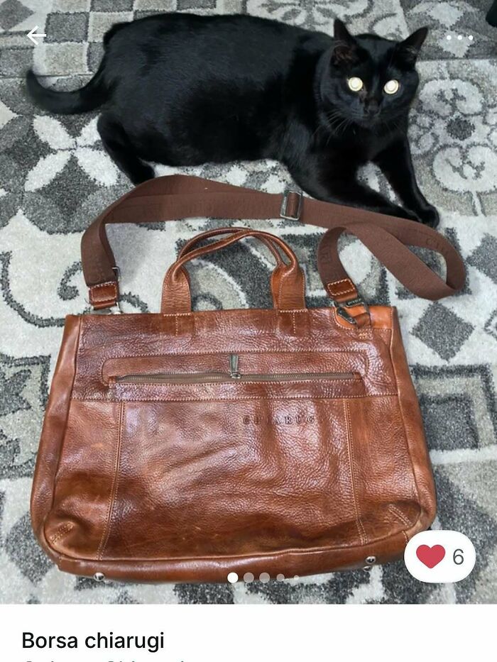 100 Times Cats Stole The Spotlight In Vinted Ads