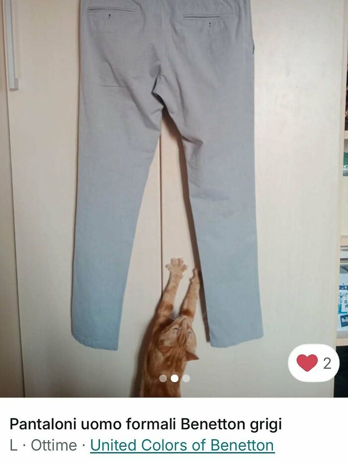 100 Times Cats Stole The Spotlight In Vinted Ads