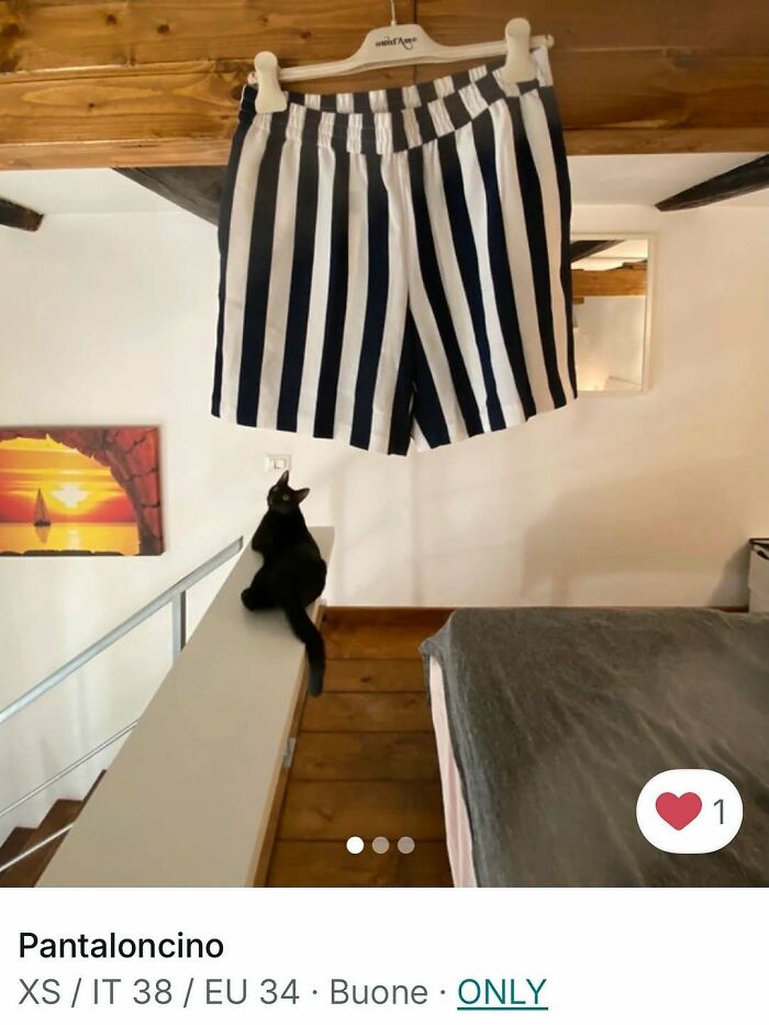 100 Times Cats Stole The Spotlight In Vinted Ads