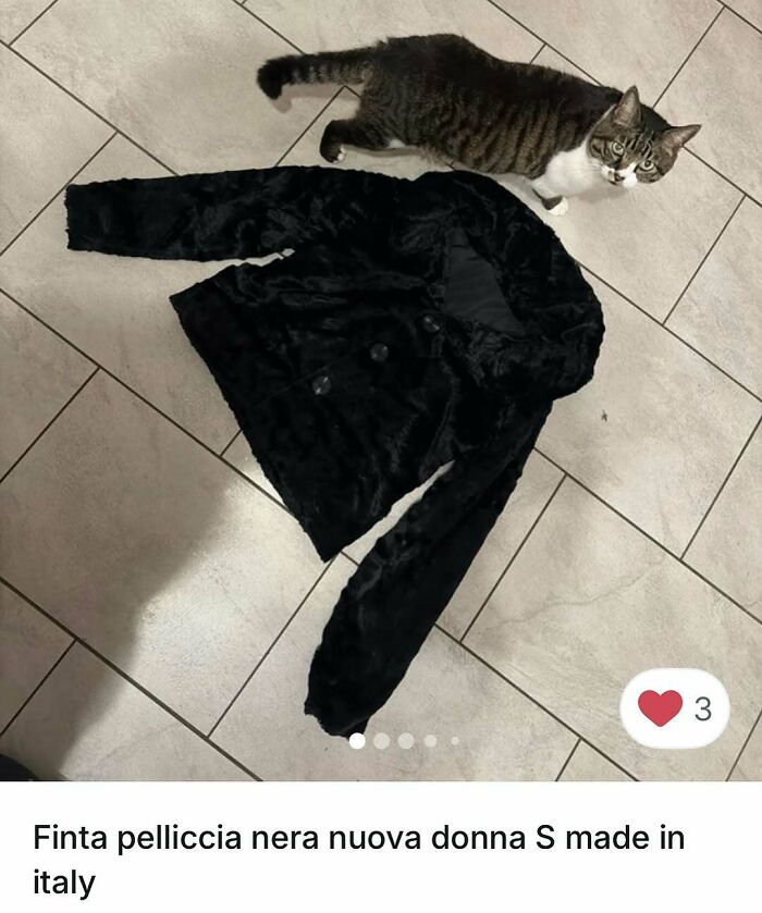 100 Times Cats Stole The Spotlight In Vinted Ads