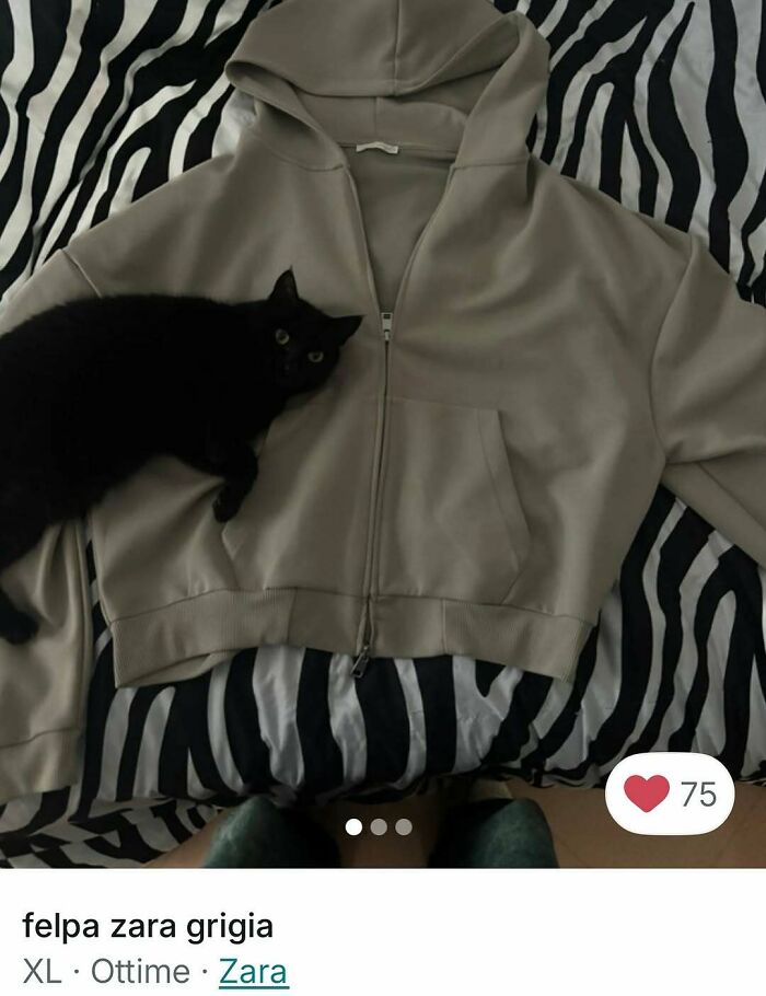 100 Times Cats Stole The Spotlight In Vinted Ads