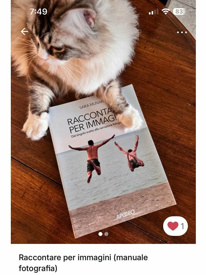 100 Times Cats Stole The Spotlight In Vinted Ads